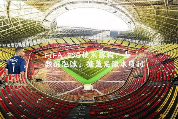 FIFA TSG技术解构:当「数据泡沫」掩盖足球本质时